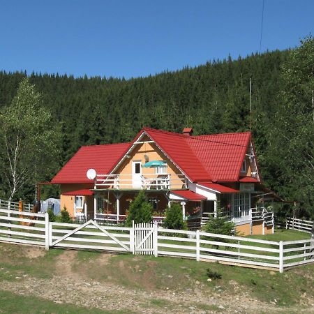 Podina Guest House Poiana Horea Dış mekan fotoğraf