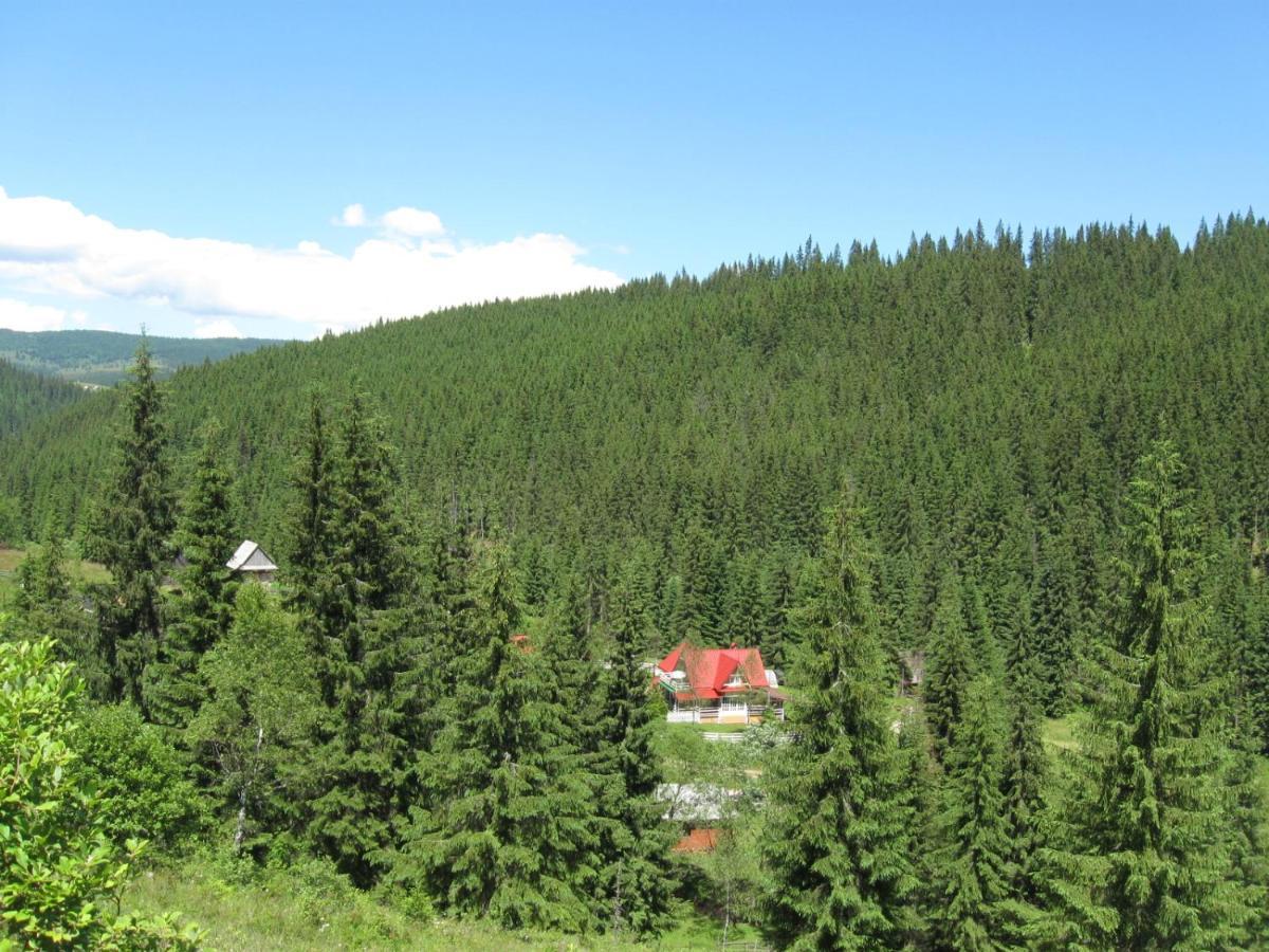 Podina Guest House Poiana Horea Dış mekan fotoğraf