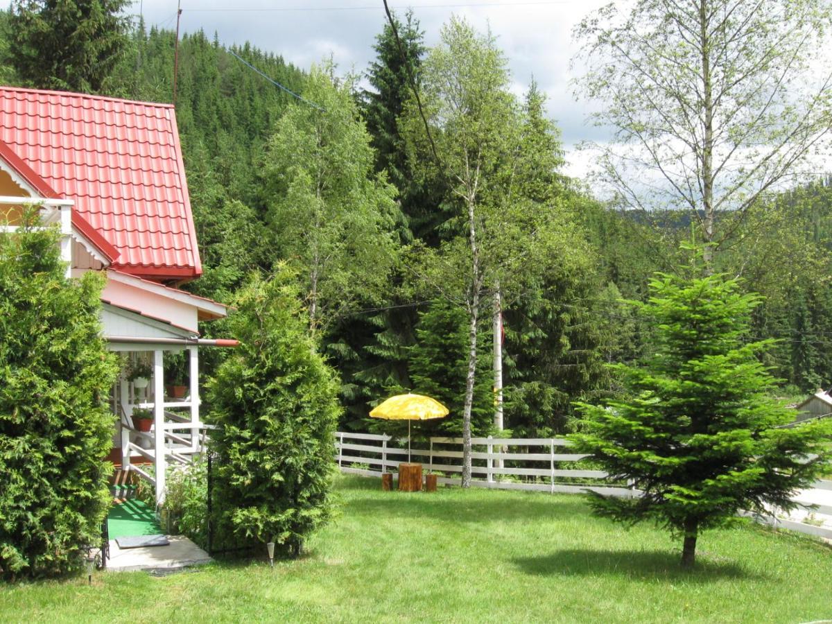Podina Guest House Poiana Horea Dış mekan fotoğraf