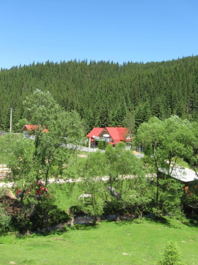 Podina Guest House Poiana Horea Dış mekan fotoğraf