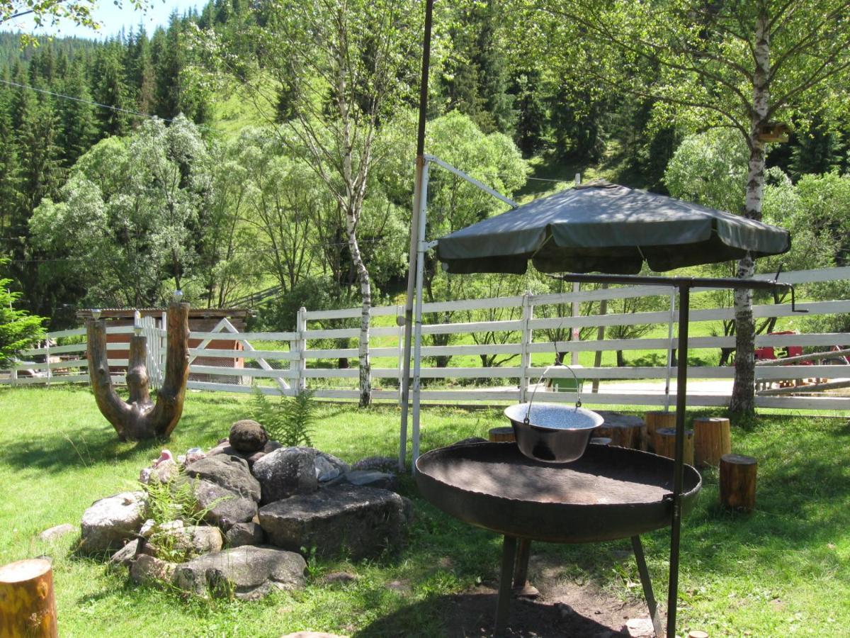 Podina Guest House Poiana Horea Dış mekan fotoğraf
