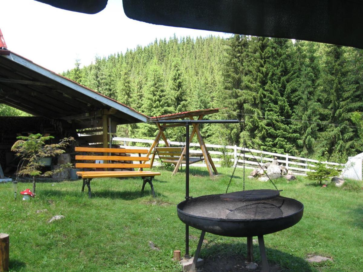 Podina Guest House Poiana Horea Dış mekan fotoğraf