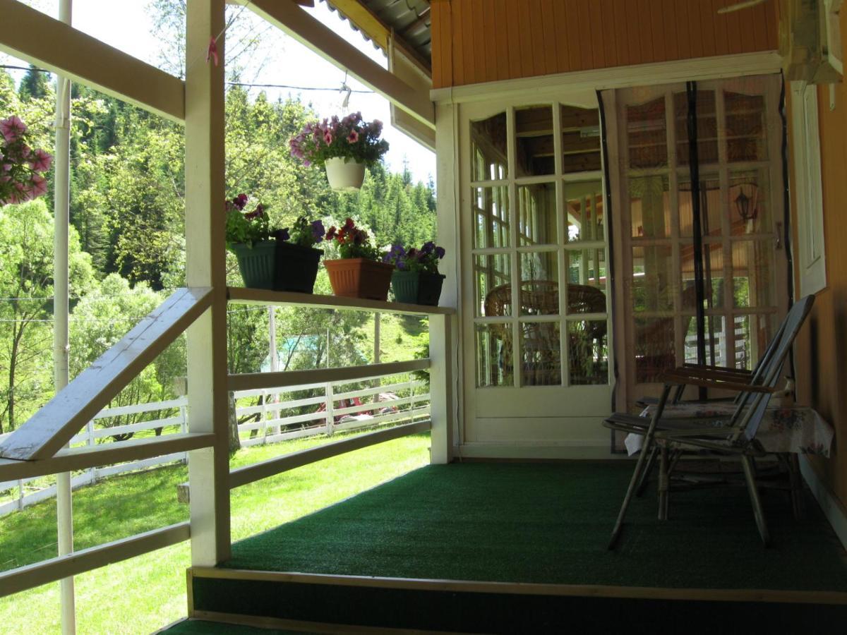 Podina Guest House Poiana Horea Dış mekan fotoğraf